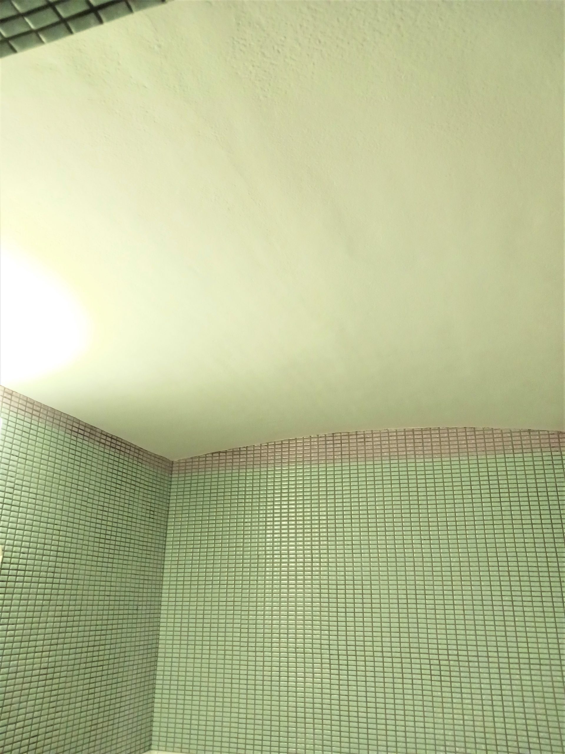 こだわりのタイルはそのままに 天井のカビを解消して明るいバスルームに