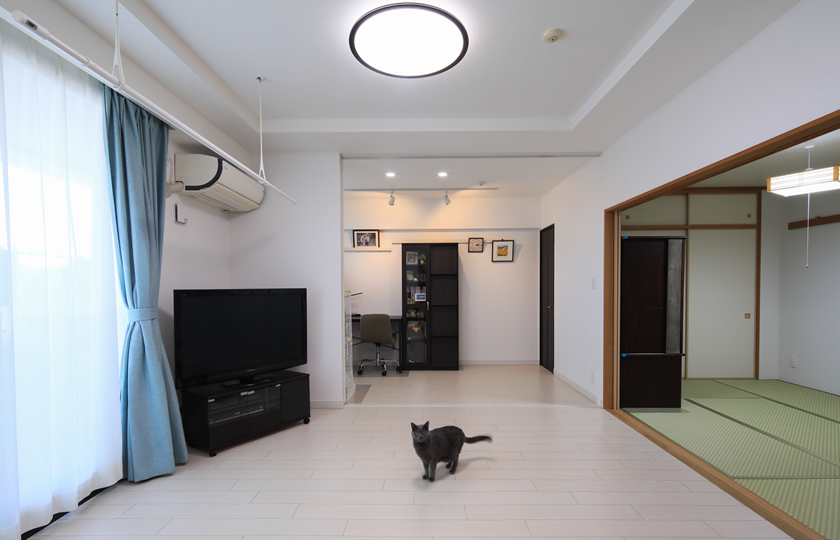 愛猫と快適に暮らす 開放的なＬＤＫ空間
